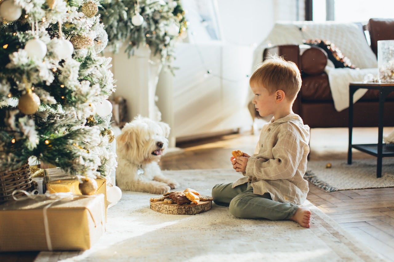 Young child sat with dog next to Christmas tree in cozy winter home