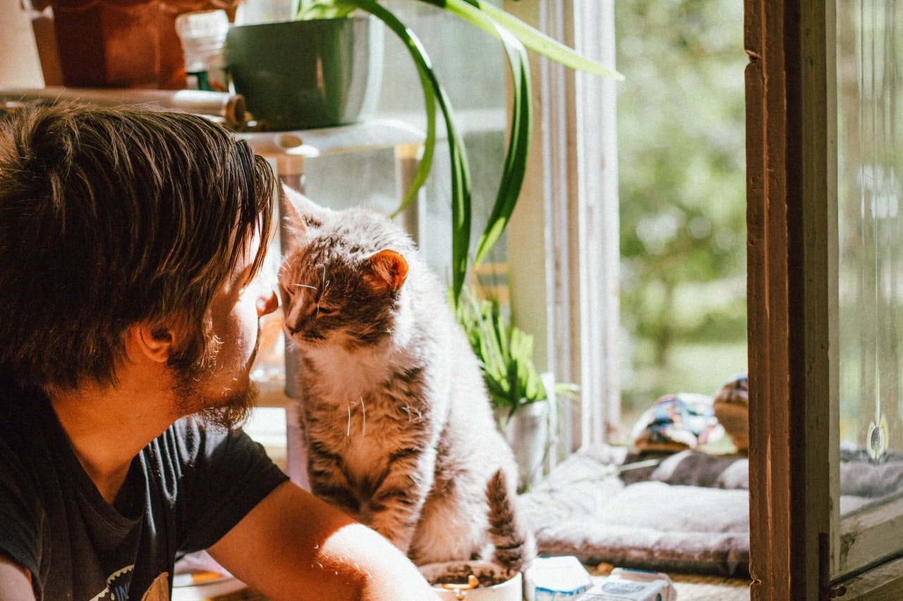 man sat with tabby cat by sunny window 