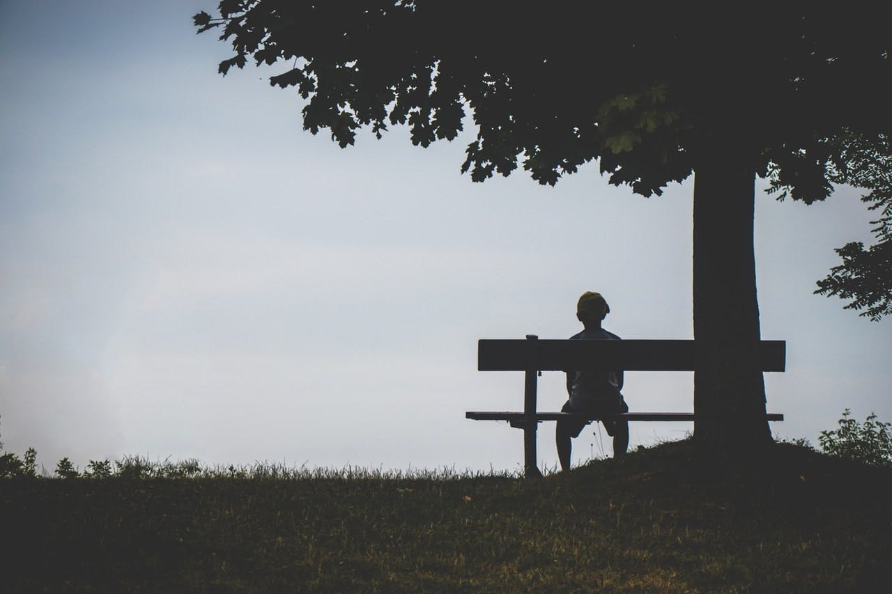 silhouette of man sitting alone on park bench under a tree 