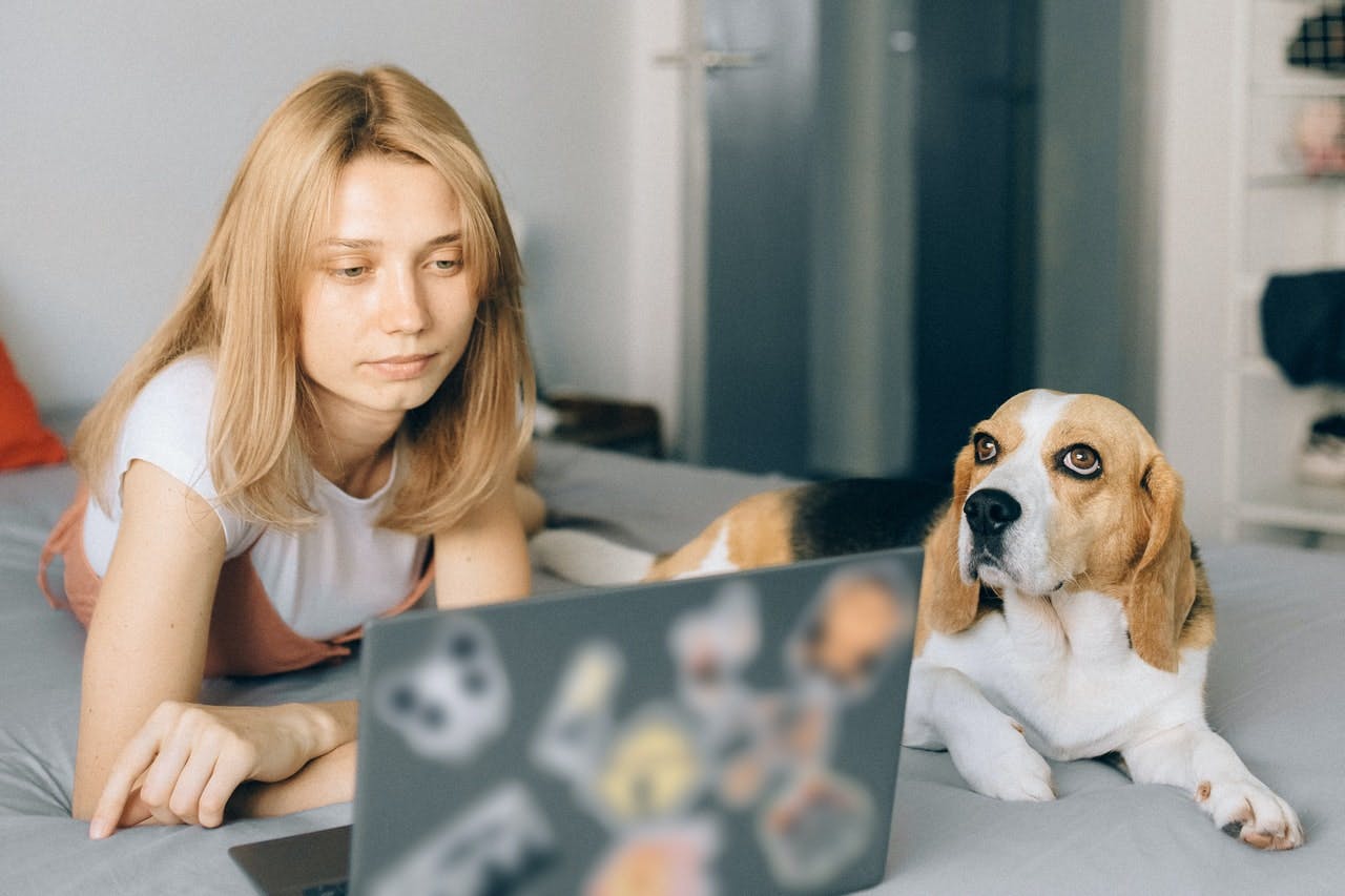 A young home seller lies on using a laptop, a dog lies next to her