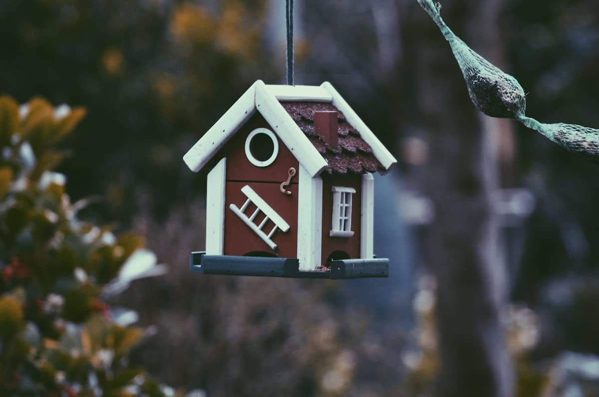 small wooden bird house hangs from branch