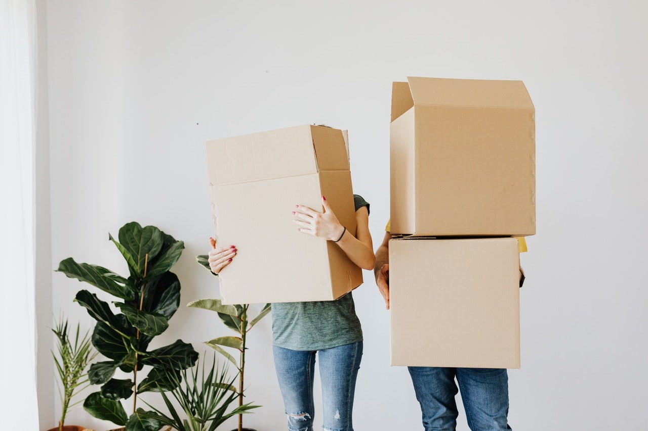 Two people in jeans hold cardboard moving boxes, next to a fiddle leaf fig